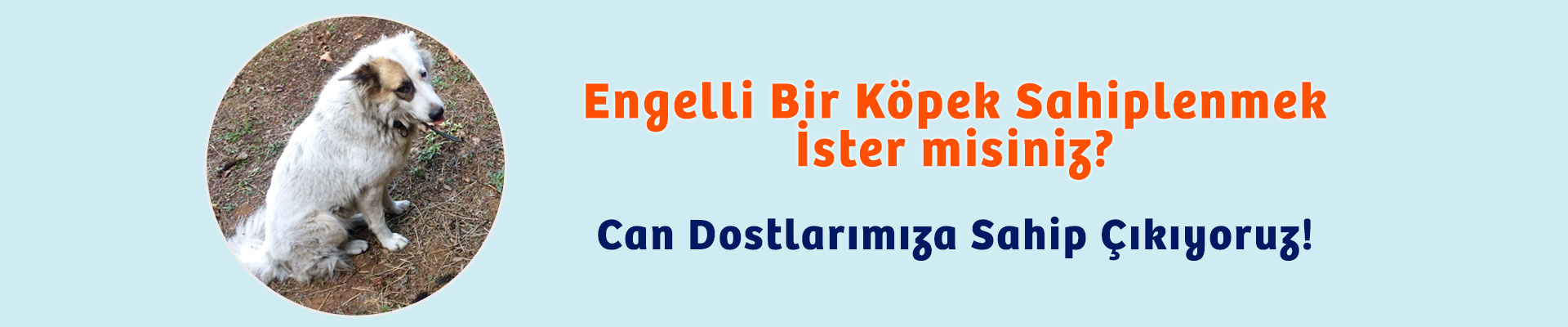 kırpık