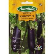 Anadolu -731 Karatay Patlıcan Sebze Tohumu Seri-2
