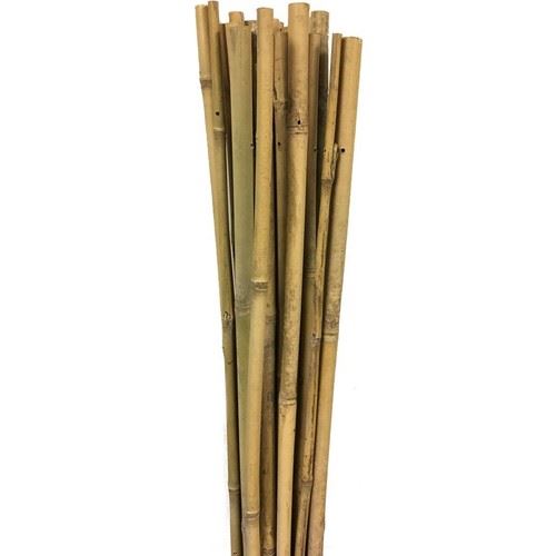 Botanika Bambu Destek Çubuğu 6371310-12 mm x 120 cm