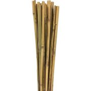 Botanika 63718 Bambu Destek Çubuğu 12-14 mmx180 cm