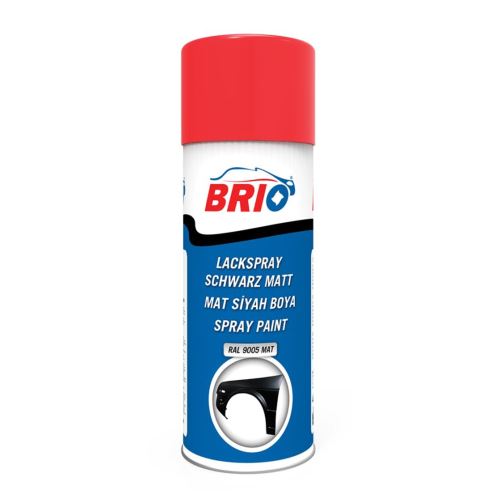 Brio Mat Siyah Boya 400 Ml Tekzen