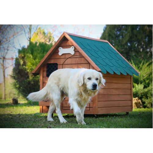 Mandu Isı Yalıtımlı Ahşap Köpek Kulübesi (XL)(İsimlik+Mama Kabı HEDİYE) mnd57