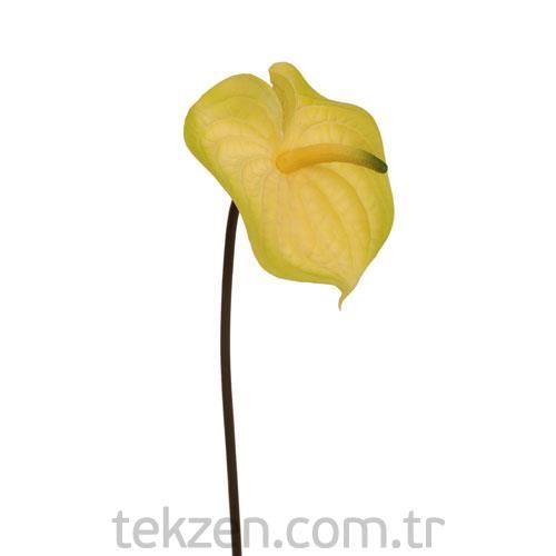 Yapay Çiçek Anthurium 76 cm 63179
