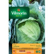 Vilmorin 660 Beyaz Lahana Sebze Tohumu