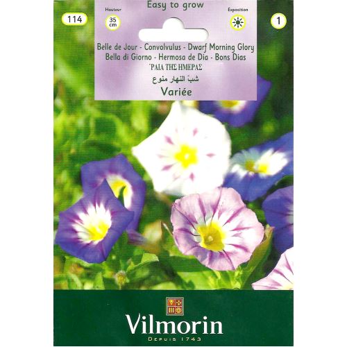 Vilmorin-114 Gündüz Güzeli Çiçek Tohumu