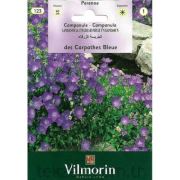 Vilmorin-123 Çan Çiçeği Tohumu