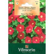 Vilmorin-174 Kırmızı Kısa Petunya Çiçek Tohumu