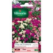 Vilmorin -181 Karışık Renkli Alev Çiceği Tohumu Seri-1