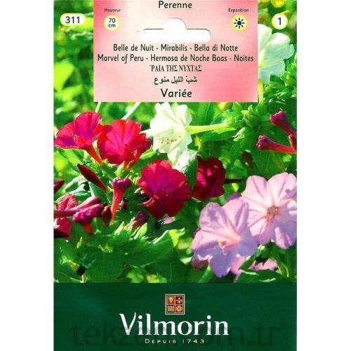 Vilmorin-311 Akşam Sefası Çiçek Tohumu Seri-1