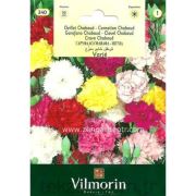 Vilmorin-340 Karışık Renkli Karanfil Çiçeği Tohumu