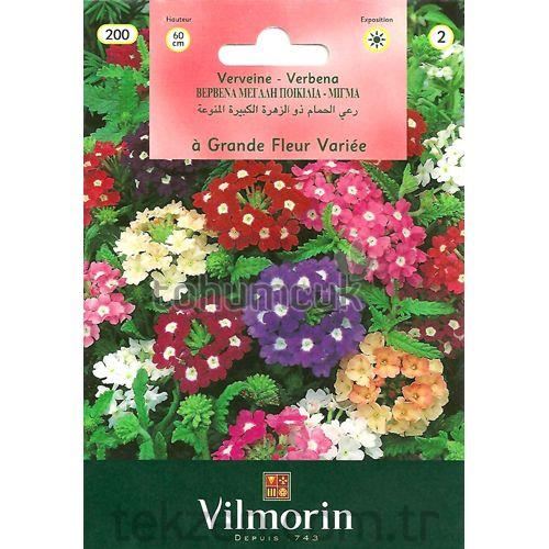 Vilmorin-200 Mine Çiçeği Tohumu Seri-2
