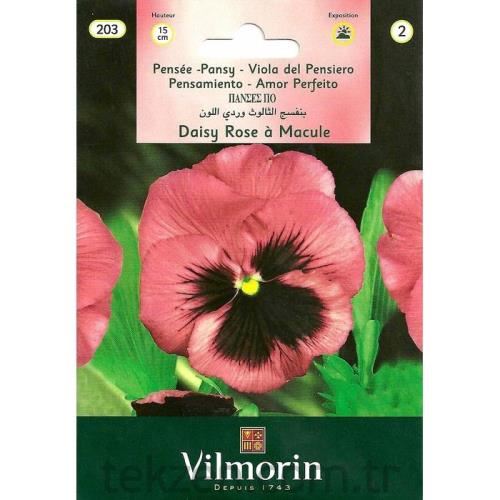 Vilmorin-203 Hercai Menekşe Çiçek Tohumu Seri-2