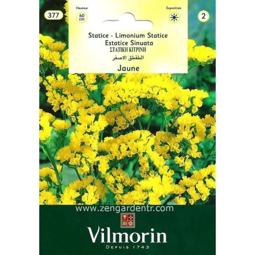 Vilmorin -377 Sarı Statis Çiçek Tohumu Seri-2