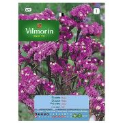 Vilmorin -379 Pembe Statis Çiçek Tohumu Seri-2