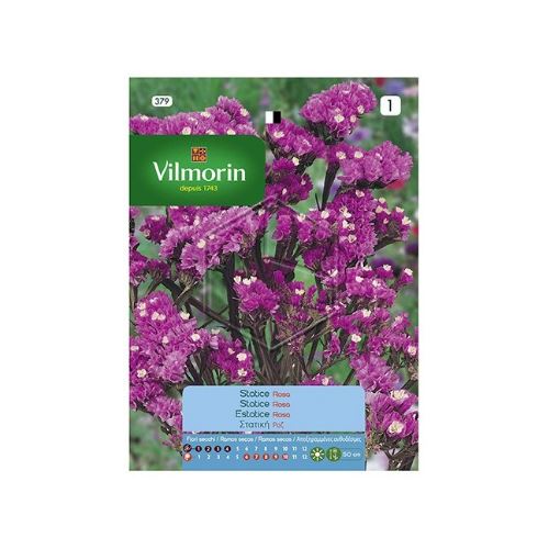 Vilmorin -379 Pembe Statis Çiçek Tohumu Seri-2