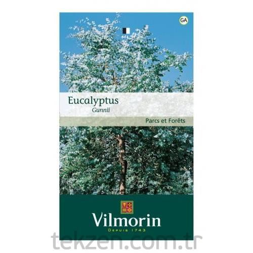 Vilmorin -410 Okaliptus Çiçek Tohumu Seri-2