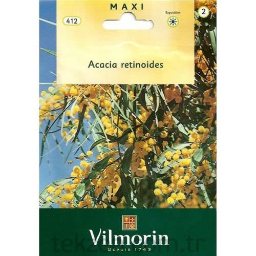 Vilmorin Dört Mevsim Mimozası Tohumu SERI-2 VILMORIN-412