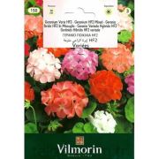 Vilmorin-150 Seri-3 Çiçek Tohumu Sardunya