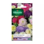 Vilmorin-218 Kirli Hanım Çiçeği Tohumu Seri-1