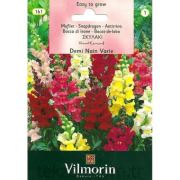 Vilmorin-312 Maksi Aslanağzı Çiçek Tohumu