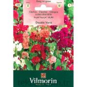 Vilmorin-320 Klark Çiçekleri Tohumu Seri-1