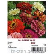 Vilmorin Kaliforniya Zinya Çiçek Tohumu Seri-1