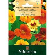 Vilmorin-40 Sarmaşık Latin Çiçeği Seri-1