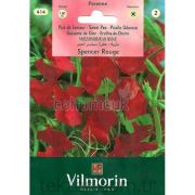 Vilmorin Itırşahi Çiçeği Tohumu Seri-1