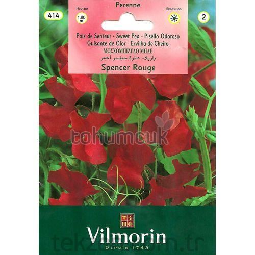 Vilmorin Itırşahi Çiçeği Tohumu Seri-1
