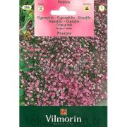 Vilmorin-355 Pembe Bahar Yıldızı Çiçek Tohumu Seri-1