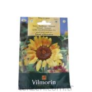 Vilmorin -351 GüneBakan Çiçek Tohumu (CALIFORNI) Seri-1