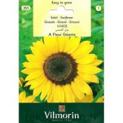 Vilmorin-353 Güne Bakan Çiçeği (Geante) Tohumu