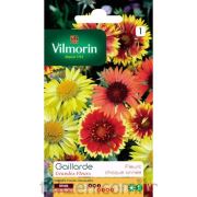 Vilmorin-146 Kanarya Otu Çiçeği Tohumu Seri-2