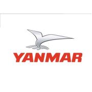 Yanmar V-Kayış - Alternatör - 25132 - 003800