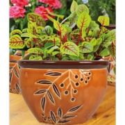 Tekzen Home Seramik Saksı VT.9056 Orta Boy