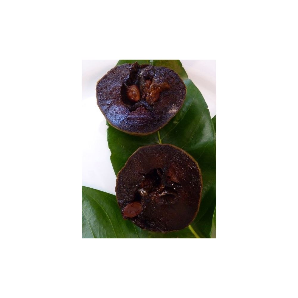 Zenfidan Diospyros digyna Black Sapote Çikolata Meyvesi, 2040 cm